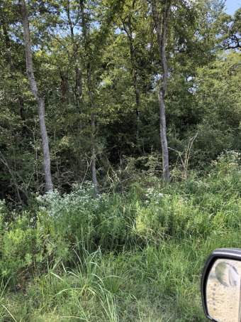 Wooded Off Water Lot SOLD - Lake Lot SOLD! in Marquez, Texas