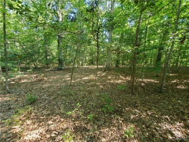 Lake Acreage Sale Pending in New Kent, Virginia