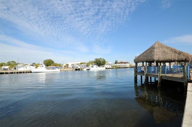 The best priced buildable homesites in Tarpon Springs near - photo 33