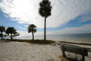 The best priced buildable homesites in Tarpon Springs near - photo 45