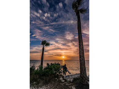The best priced buildable homesites in Tarpon Springs near - photo 50