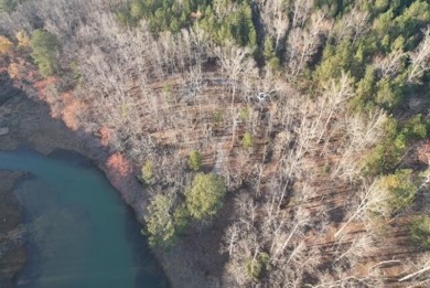 SMITH LAKE/ SIPSEY Almost 2 acres of land in gated community - photo 2