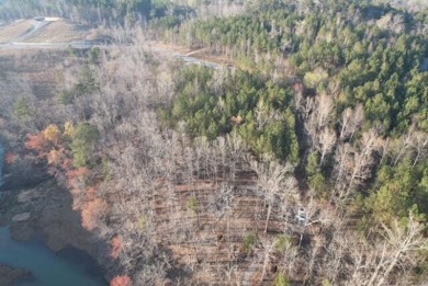 SMITH LAKE/ SIPSEY Almost 2 acres of land in gated community - photo 3