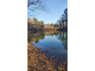 SMITH LAKE/ SIPSEY Almost 2 acres of land in gated community - photo 7