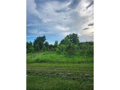 Two beautiful level larger lots (70 X 140) each. Plenty of - photo 2