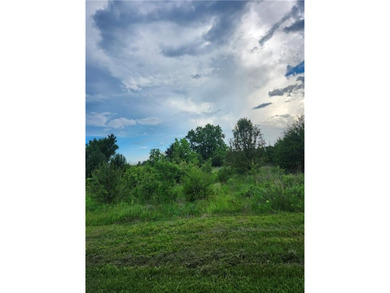 Two beautiful level larger lots (70 X 140) each. Plenty of - photo 3