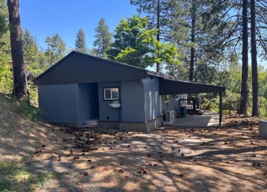 Lake Home For Sale in Loon Lake, Washington