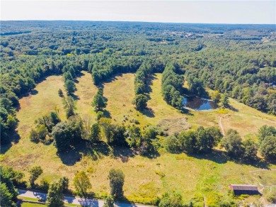 (private lake, pond, creek) Acreage For Sale in Brooklyn Connecticut