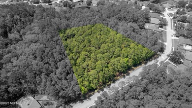 Come explore this beautiful home site of approximately 2.95 - photo 1