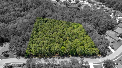 Come explore this beautiful home site of approximately 2.95 - photo 2