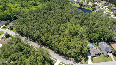 Come explore this beautiful home site of approximately 2.95 - photo 7