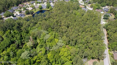 Come explore this beautiful home site of approximately 2.95 - photo 10