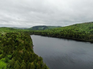 Lake Acreage For Sale in Lakeville, Maine