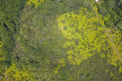 Great opportunity to purchase a beautiful 104+ acre parcel of - photo 11