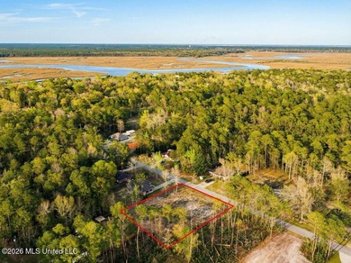 Build your dream home on this spacious 0.52-acre property on - photo 11