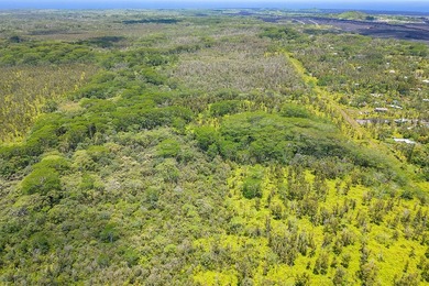 Great opportunity to purchase a beautiful 104+ acre parcel of - photo 13