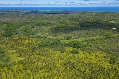 Great opportunity to purchase a beautiful 104+ acre parcel of - photo 14