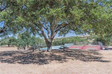 4907 Longhorn - photo 27