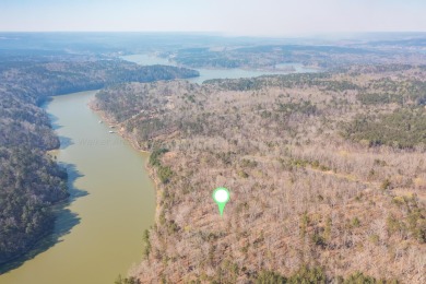 Smith Lake (Clear Creek) Deep water lakefront lot directly - Lake Acreage For Sale in Jasper, Alabama