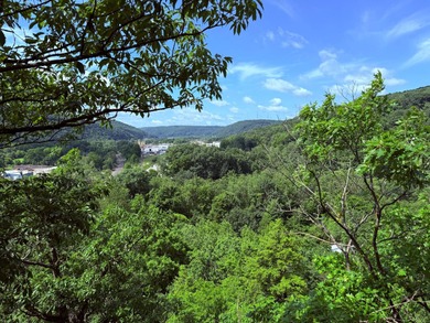 Allegheny River Acreage For Sale in Franklin Pennsylvania