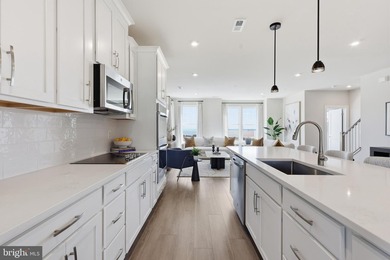 Your New Home Starts Here. Experience elevated living in the - photo 4