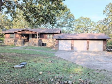 Bull Shoals Lake Home For Sale in Diamond City Arkansas