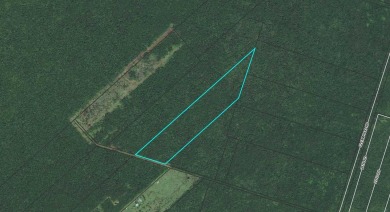 Looking to be off grid on an untouched very private property on - photo 1