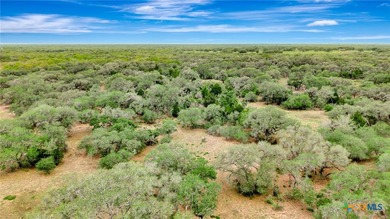 Discover the rare opportunity to own 446+/- acres of exceptional - photo 11