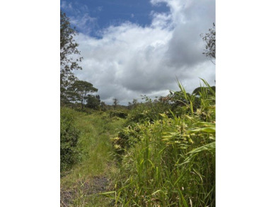 Looking to be off grid on an untouched very private property on - photo 3