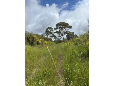 Looking to be off grid on an untouched very private property on - photo 4