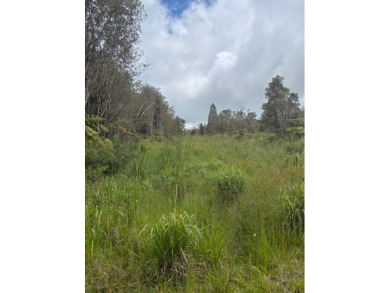 Looking to be off grid on an untouched very private property on - photo 5