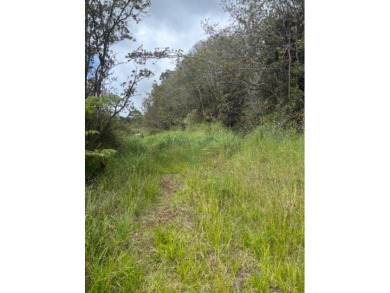 Looking to be off grid on an untouched very private property on - photo 6