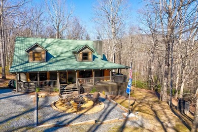 (private lake, pond, coastal) Home For Sale in Blue Ridge Georgia
