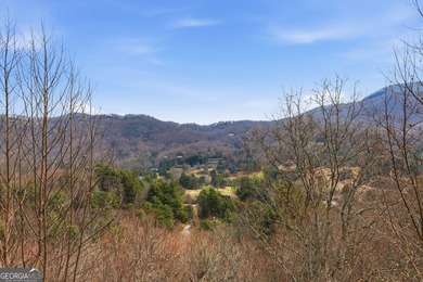 This large 4-bedroom, 3-baths move in ready home comes complete - photo 41