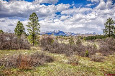 Hatcher Reservoir Lot Active Under Contract in Pagosa Springs Colorado