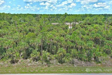 Lehigh Acres Area Lot For Sale in Lehigh Acres Florida