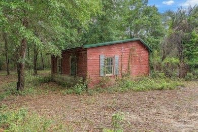 12 Acre Estate! Hidden behind beautiful mature oak trees and - photo 36