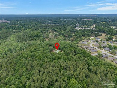 12 Acre Estate! Hidden behind beautiful mature oak trees and - photo 39