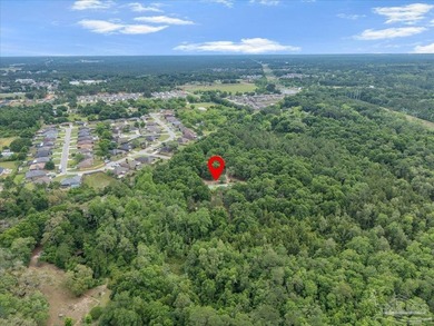 12 Acre Estate! Hidden behind beautiful mature oak trees and - photo 40