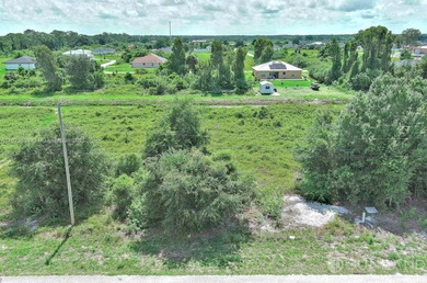 Lehigh Acres Area Lot For Sale in Lehigh Acres Florida
