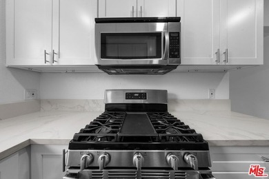 A rare and remarkable opportunity to own a fully vacant - photo 43
