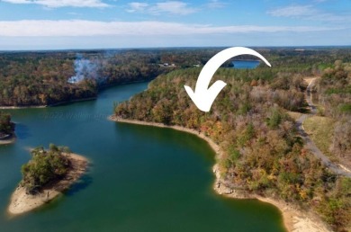 Stellar views from this lake lot that can be split from this - Lake Acreage For Sale in Bremen, Alabama