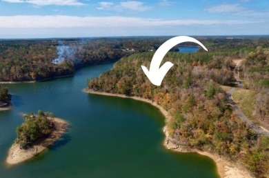 Lake Acreage Off Market in Bremen, Alabama