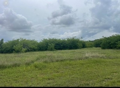 Lake Acreage For Sale in Graford, Texas