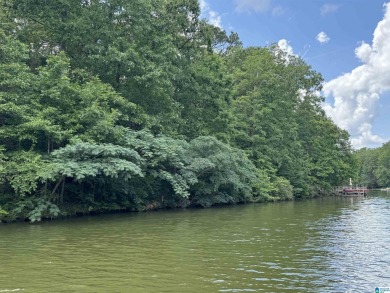 Lake Lot For Sale in Wedowee, Alabama