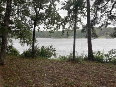 Lake Acreage For Sale in Andalusia, Alabama
