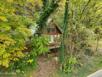 Lake Home For Sale in Tellico Plains, Tennessee