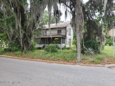 Lake Stella Home For Sale in Crescent City Florida