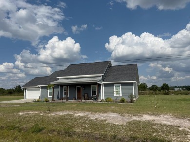 Lake Home For Sale in Baxley, Georgia