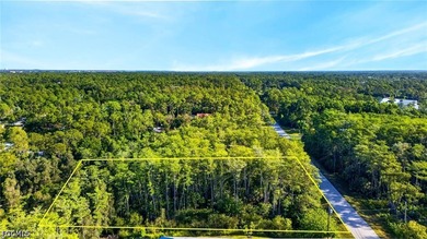 Situated in one of the most desirable neighborhoods in Southwest - photo 8